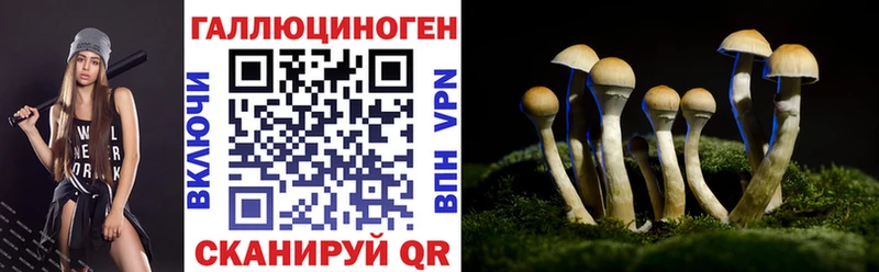 KRAKEN рабочий сайт  как найти закладки  Светогорск  Галлюциногенные грибы MAGIC MUSHROOMS 