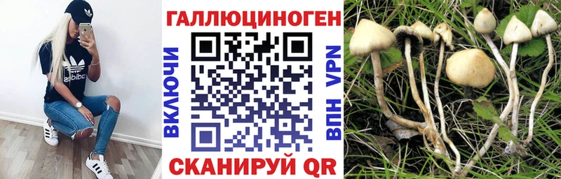 Псилоцибиновые грибы прущие грибы Светогорск
